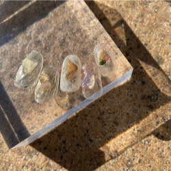 ネイルチップクリア